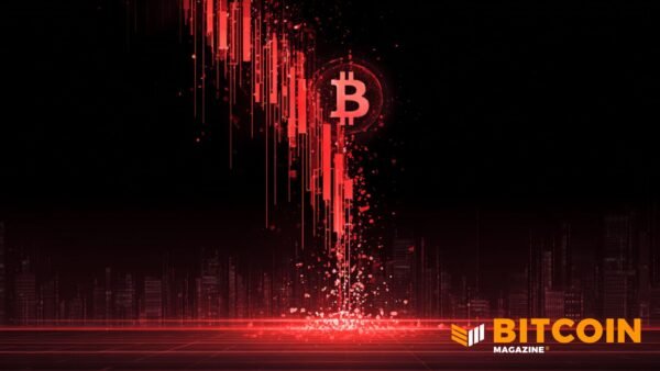 Bitcoin Price Plunges To ,000 And One Year Lows